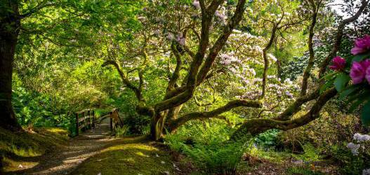 Ardkinglas Woodland Garden, Gruffalo Trail  & Fairy Trail 