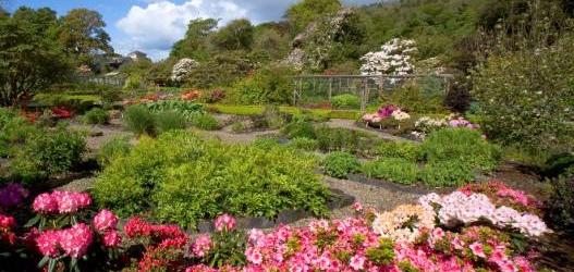 Ardmaddy Castle Gardens