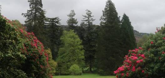 Benmore Botanic Garden