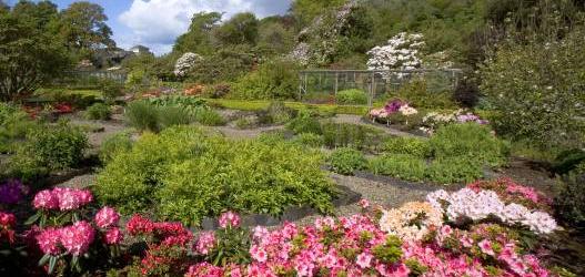 Ardmaddy Castle Gardens - Spectacular setting. Walled Garden with magnificent rhododendrons