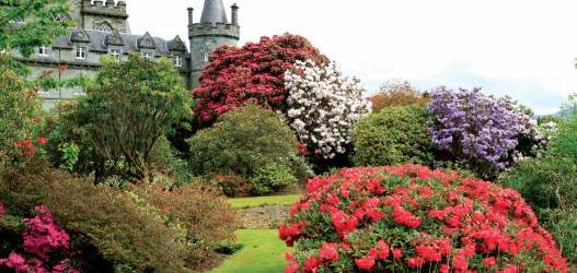 Inveraray Castle Gardens - holds an interesting collection of Rhododendrons and each spring is carpeted with fragrant Bluebells