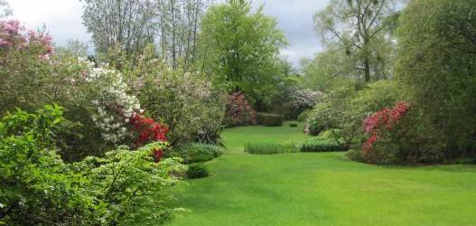 Dalnashean is a private sheltered garden with many rhododendrons, magnolias and specimen trees and shrubs