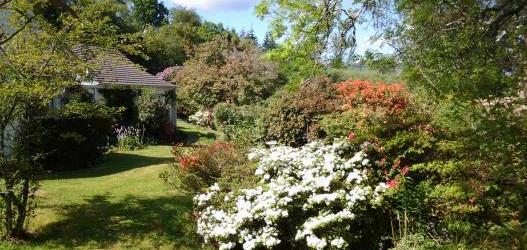 Knock Cottage Special Open Days