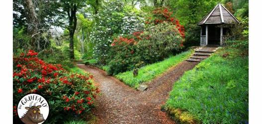 Ardkinglas Woodland Garden,     A woodland garden in all its in spring glory