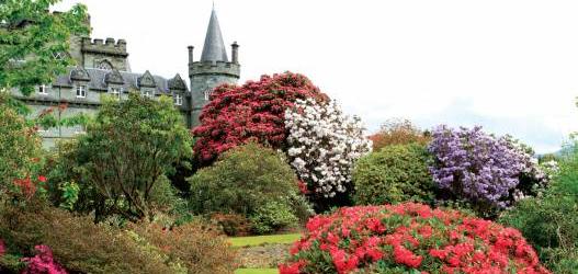 INVERARAY CASTLE GARDENS OPEN FOR THE FESTIVAL OF RHODODENDRONS 2018
