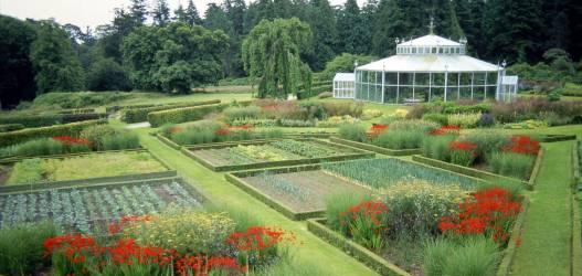 MOUNT STUART OPEN FOR FESTIVAL OF RHODODENDRONS