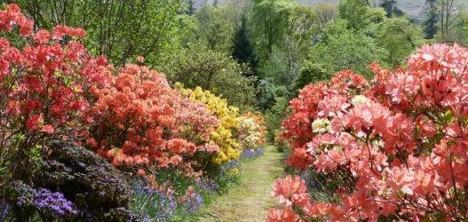 Ardkinglas Ladies Garden - A must see. Visit the normally private Ladies Garden