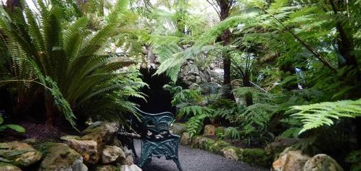 Benmore Botanic Garden - Walking the Fern Trail with Mary Gibby