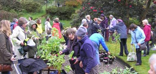 GLENARN SPECIAL PLANT SALE AND OPEN DAY