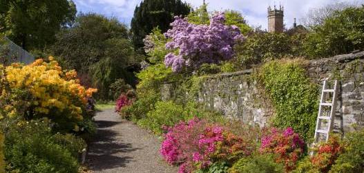 ARDMADDY CASTLE GARDENS: OPEN FOR THE SCOTTISH RHODODENDRON FESTIVAL