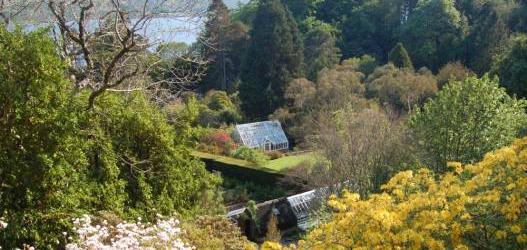 ARDUAINE GARDEN OPEN FOR FESTIVAL OF RHODODENDRONS