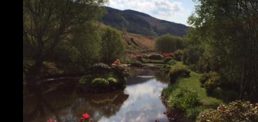 KAMES BAY GARDEN open for Rhododendron Festival
