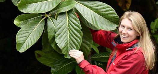 Benmore Botanic Garden - Friends of Benmore AGM & Talk  A plant collecting expedition to Yunnan