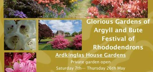 Festival of Rhododendron 