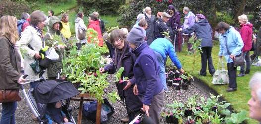 SPECIAL PLANT SALE AND OPEN DAY