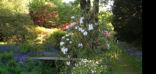 Strachur House Flower and Woodland Open Day