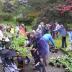 SPECIAL PLANT SALE AND OPEN DAY